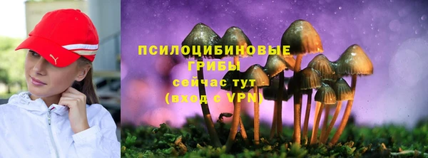кокс Абдулино