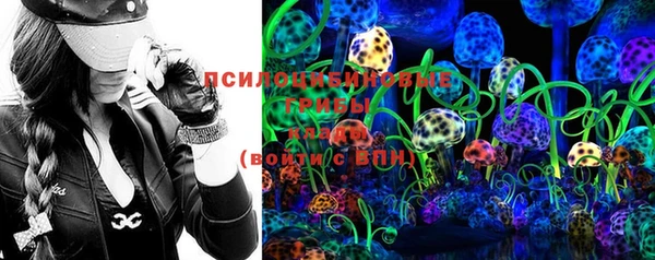 твердый Алексеевка